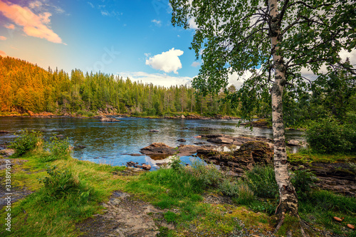 Fototapeta Naklejka Na Ścianę i Meble -  Mountain river. Beautiful nature of Norway