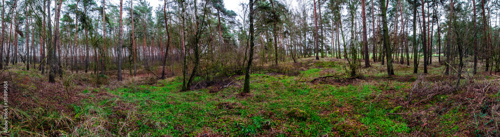 Naklejka premium Wallburg Mitte Erhebung