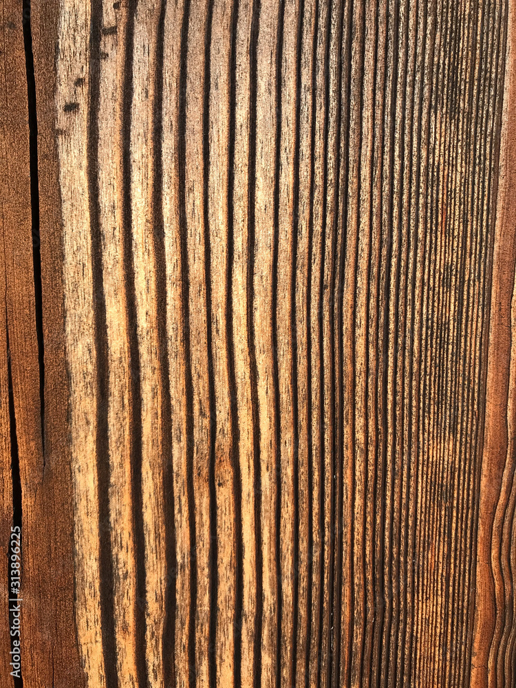 Fototapeta premium Aged wood texture, cutaway wood background, fibers
