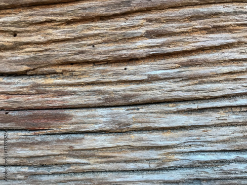 Aged wood texture, cutaway wood background, fibers