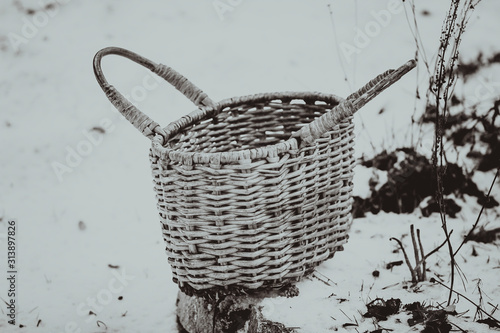 Fotografie Wicker vine peasant grocery vintage retro basket for wild berries and mushrooms