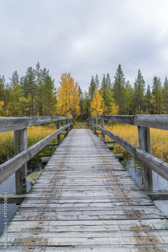 Naklejka premium Mountains, forests, lakes view in autumn. Fall colors - ruska time in Iivaara. Oulanka national park in Finland. Lapland, Nordic countries in Europe