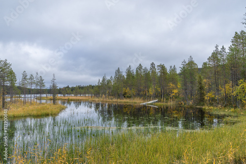 Mountains, forests, lakes view in autumn. Fall colors - ruska time in Iivaara. Oulanka national park in Finland. Lapland, Nordic countries in Europe
