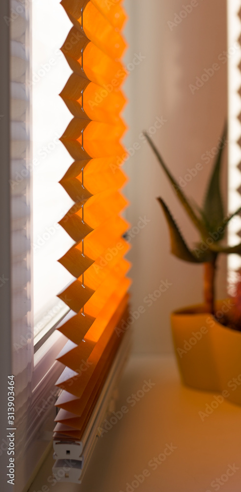 Obraz premium Pleated blinds with orange folded fabric on the window close up. On the windowsill stands home plant in yellow flower pot. Cordless pleated shade with white lower bar.