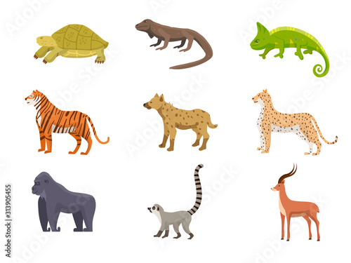 Fototapeta Naklejka Na Ścianę i Meble -  Wild African animals flat vector illustrations set
