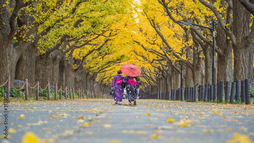 Photography Asian traveller in kimono traditional dress walking in row of yellow ginkgo tree