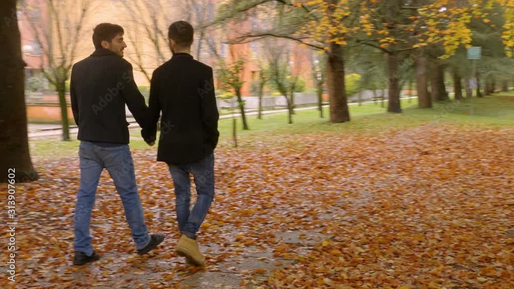 young gay couple walking at park holding hands on an autumn day young gay couple walking at park holding hands on an autumn day