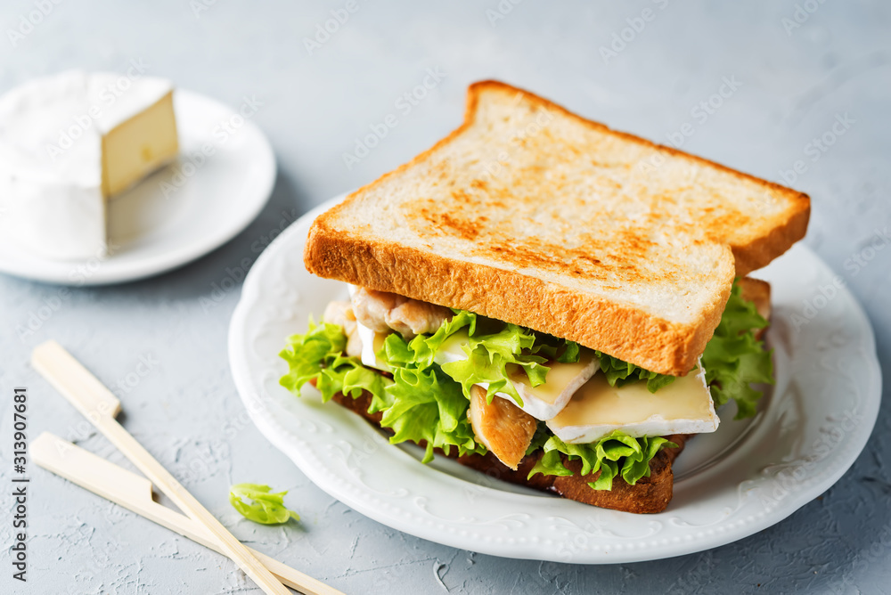 Chicken Brie cheese sandwich on the plate Chicken Brie cheese sandwich on the plate