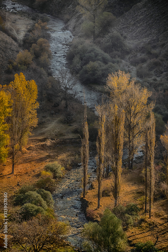 Beautiful view on Azat fast stream mountain river flows at the valley through autumn multicolored forest in sun rays, Garni, Armenia