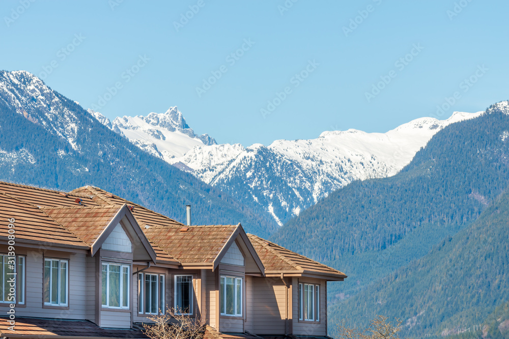 A perfect neighbourhood. Houses in suburb at Summer in the north America. Luxury houses with nice landscape.