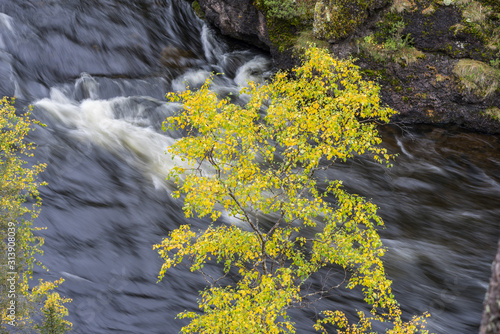 Cliff, stone wall, forest, waterfall and wild river panoramic view in autumn. Fall colors - ruska time in Myllykoski. Karhunkierros Trail, Oulanka National Park in north Finland. Lapland, Europe photo