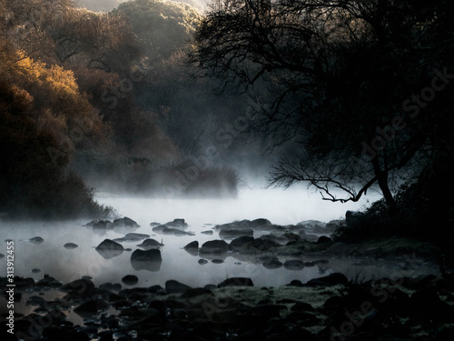 River in a forest with mist and rocks. RÌo en bosque con bruma y rocas