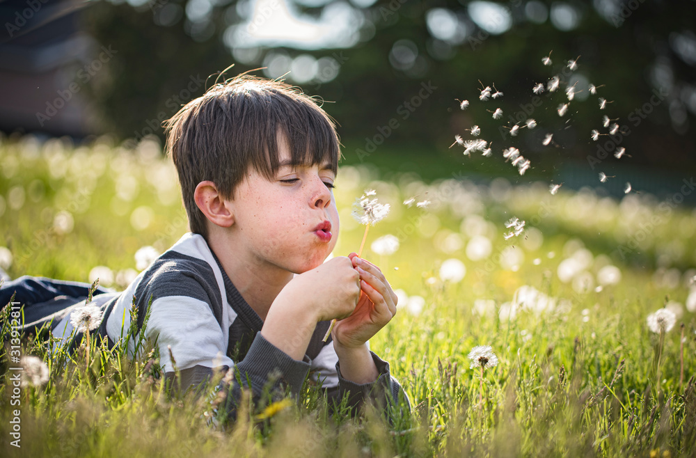 Young boy laying on the grass blowing seeds off of a dandelion flower. Young boy laying on the grass blowing seeds off of a dandelion flower.
