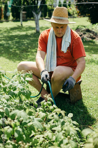 A man sitting and watering plants photo