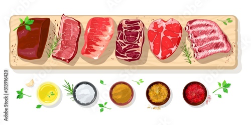 Fresh raw steaks, fillets for barbecue, grilling, roasting, frying beef, pog, mutton, lamb, veal. Spice rubs, condiments mustard, salt, chicken curry saffron red paprika greenery for meat Vector
