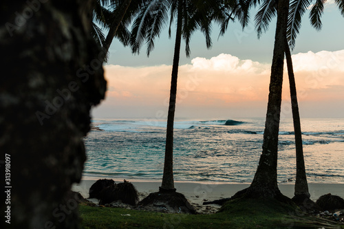 Good morning from surfing paradise