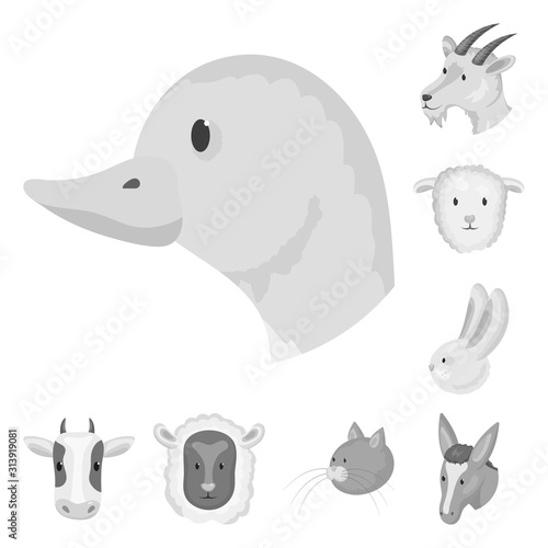 Isolated object of countryside and homestead sign. Collection of countryside and breeding stock vector illustration.