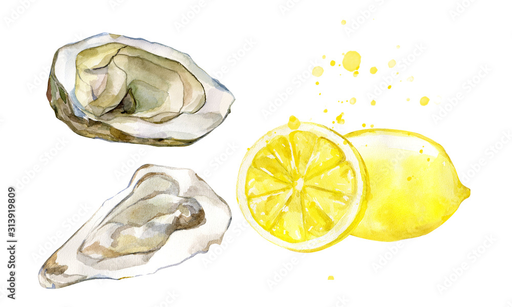 Obraz Oyster shell and lemon for healthy human food watercolor illustration. Isolated on white background. Hand drawn graphic for seafood farm. Retro style.