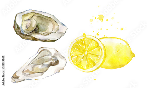 Obraz na płótnie Oyster shell and lemon for healthy human food watercolor illustration. Isolated on white background. Hand drawn graphic for seafood farm. Retro style.