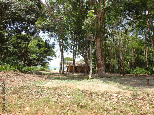 Amazônia