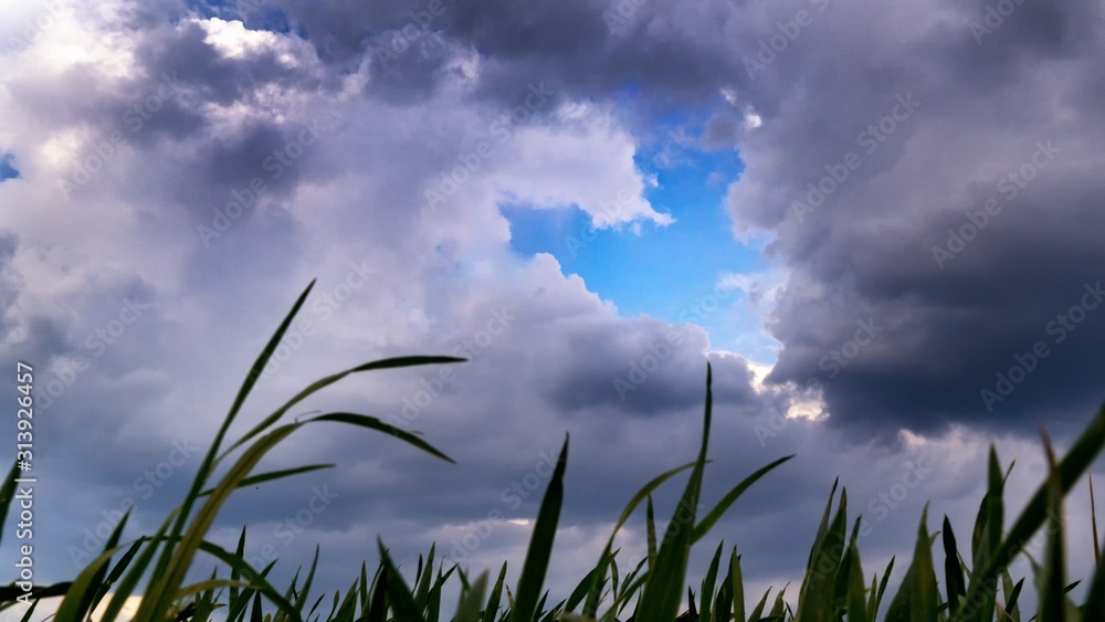 Fototapeta premium heart cloud