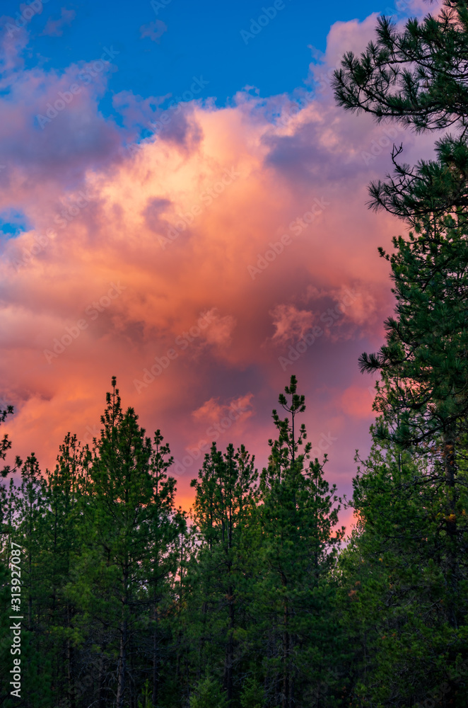 Fototapeta premium Glorious Sunset