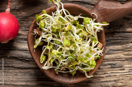 Fresh radish sprouts on a wooden spoon