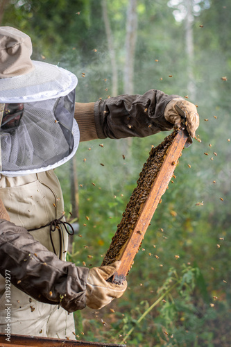 apicultor en medio de abejas en el apiario 