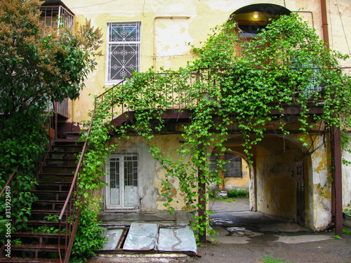 Ukraine, Odessa. Old Odessa courtyard "well" of the times of the Soviet Union. Summer. Wild grapes wind up the old vintage staircase.