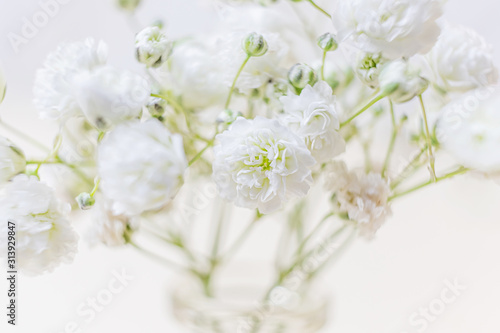 Fototapeta Naklejka Na Ścianę i Meble -  Small lush elegant white gypsophila flowers on a pastel background. The concept of spring, summer, women's day, Valentine's day, wedding, holiday, birthday. Macro photo for banners, cards, posters.