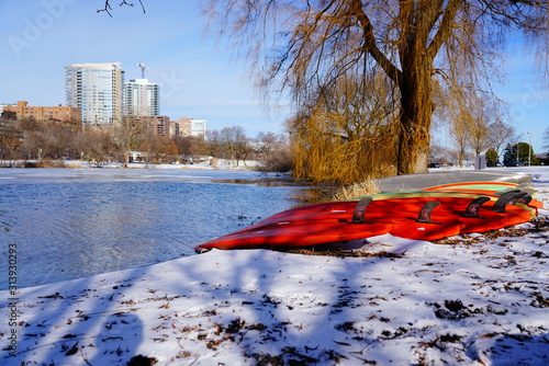 Many colorful surfboards were found laying in the winter snow during January out in a park in Milwaukee, Wisconsin. photo