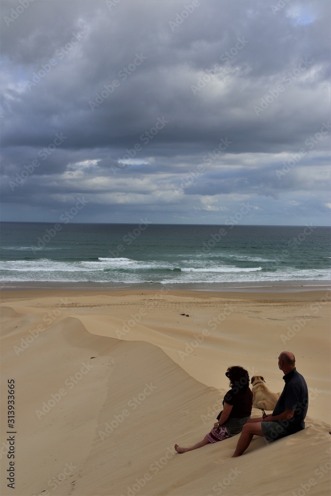 Dogs and couple enjoying beach view in South Africa Dogs and couple enjoying beach view in South Africa