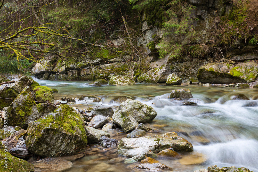 Fototapeta premium Beautiful fast mountain river in forest. Slovakia.