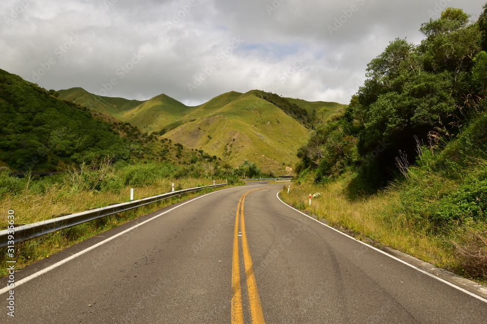 Fototapeta premium Manawatu road closure in New Zealand North Island