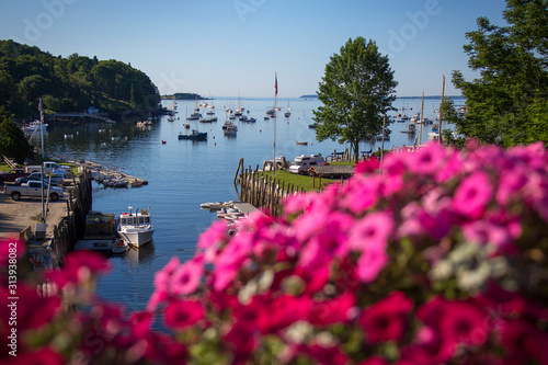 Flowers bloom in the foreground as boats anchor in Rockport Harbor, Maine. photo
