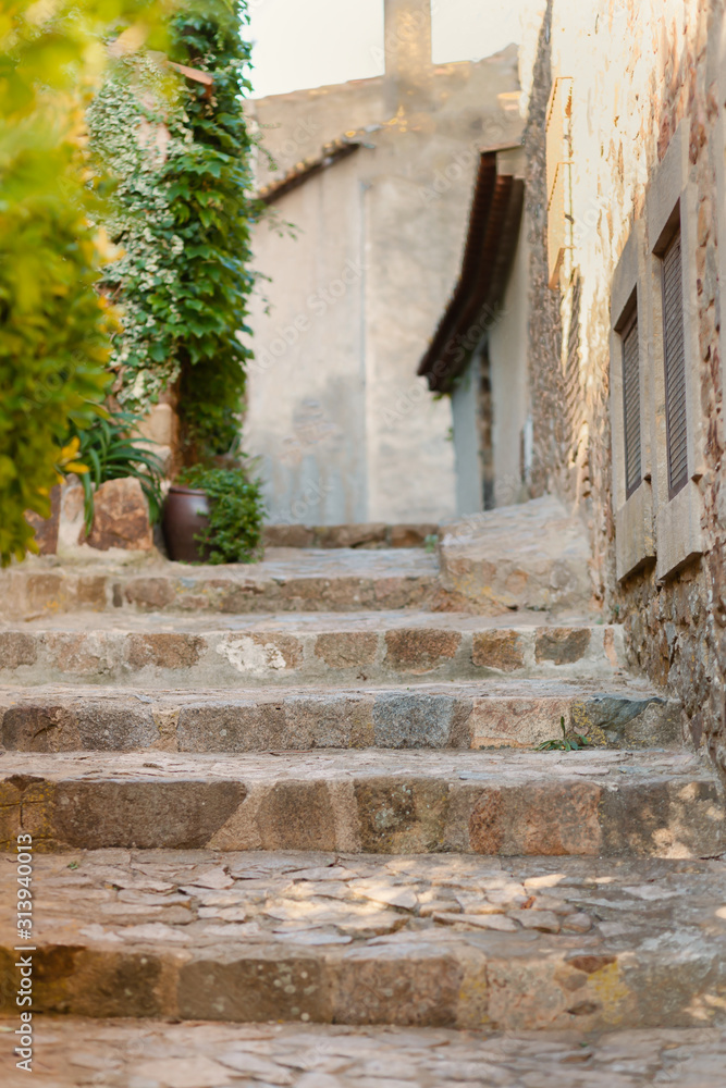Obraz premium Narrow street of a medieval European city, in the foreground steps from paving stones, the wall is twined with greenery on the left.