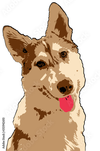 portrait of a Husky vector