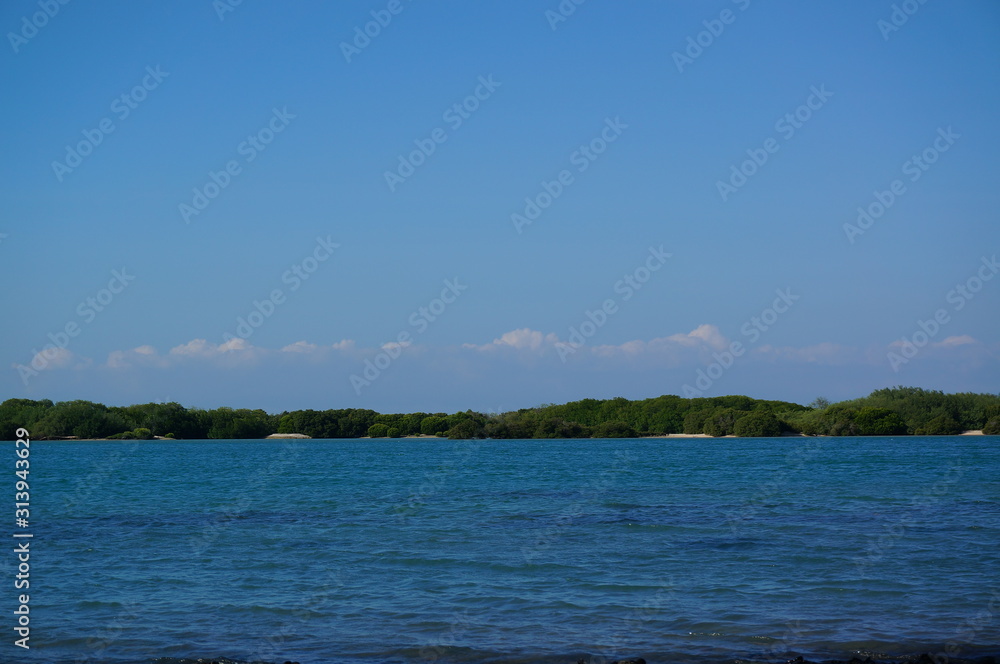 landscape with lake and blue sky