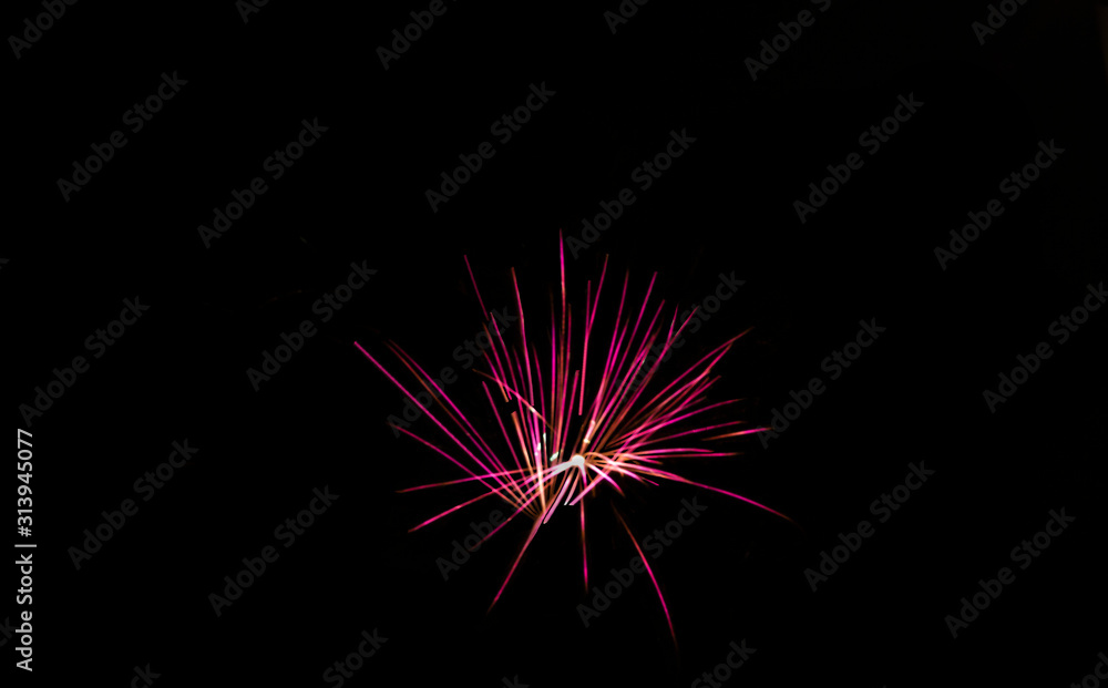Blur abstract rose purple fireworks against black sky background, vivid color illustration Blur abstract rose purple fireworks against black sky background, vivid color illustration