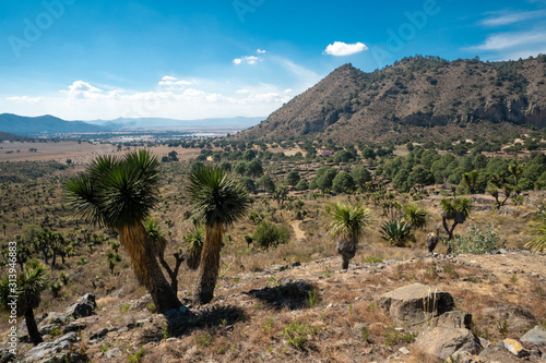 Cantona, Puebla, Mexico - a mesoamerican archaeoligical site with only few visitors