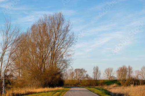 Road through Dutch polder landscape