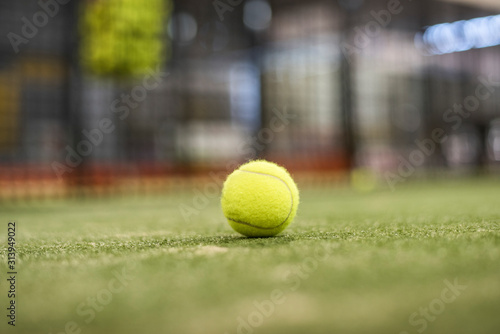 Paddle tennis or tennis ball on indoor court photographed with shallow depth of field with natural light