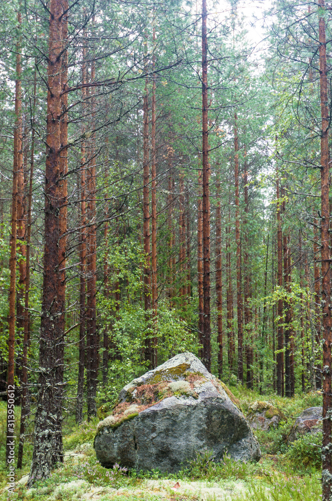 Big solitary boulder in Pyha-Hakki national park, Finland