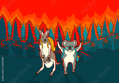 sad kangaroo and koala escaping from australia bushfires