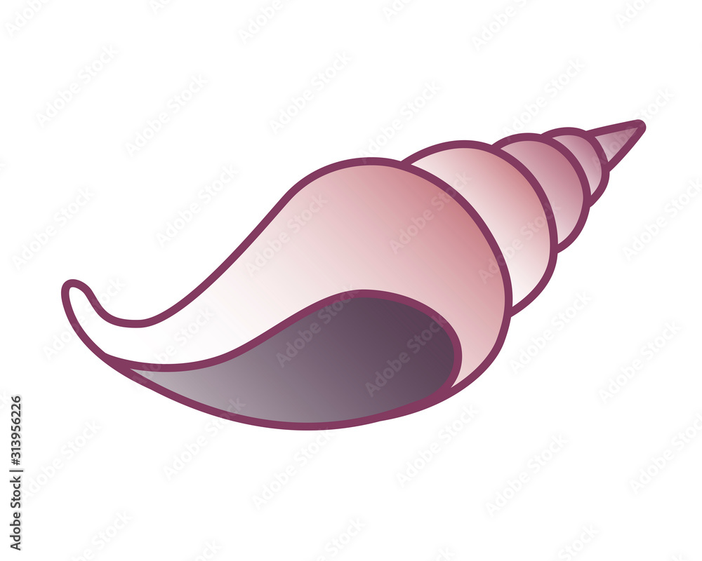 Shell. Marine, spiral, conical shell of a marine mollusk. Ocean clam, snail - vector full color picture. Sea animal. Shell. Marine, spiral, conical shell of a marine mollusk. Ocean clam, snail - vector full color picture. Sea animal.
