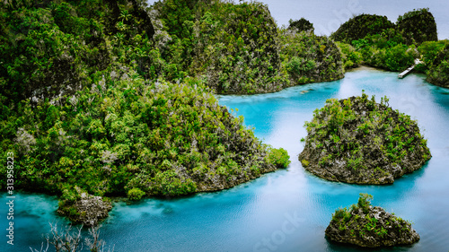 Pianemo Islands, Blue Lagoon with Green Rocks, Raja Ampat, West Papua. Indonesia