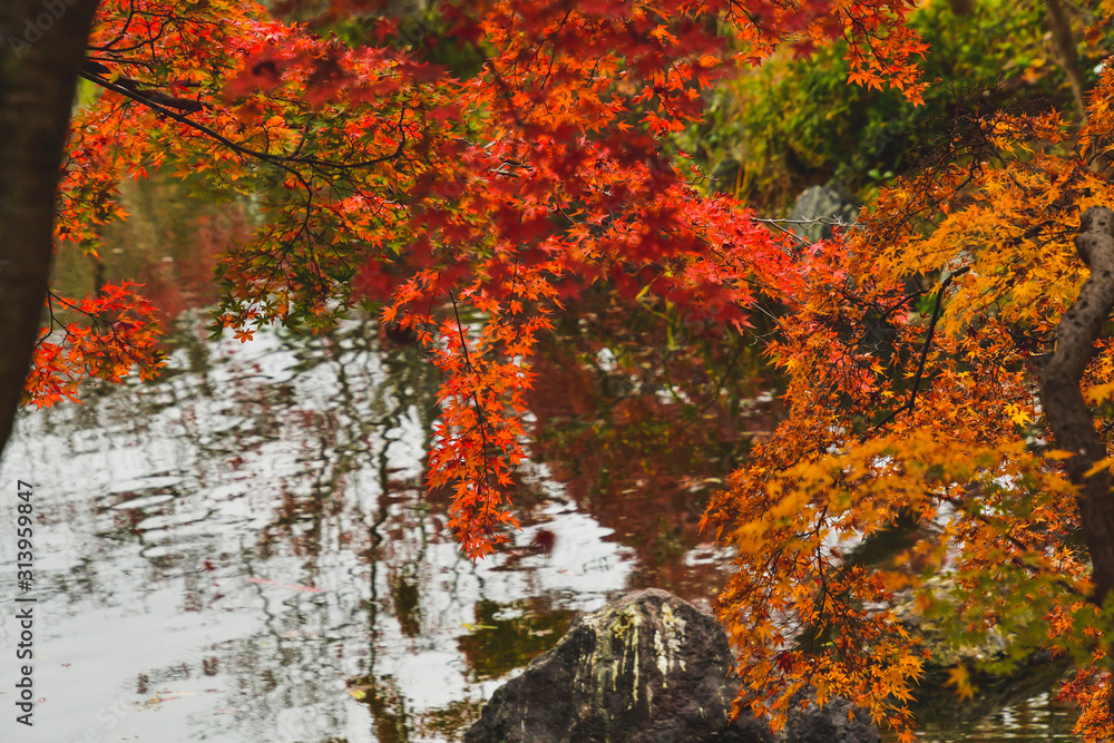 池を彩る秋の紅葉　　　京都