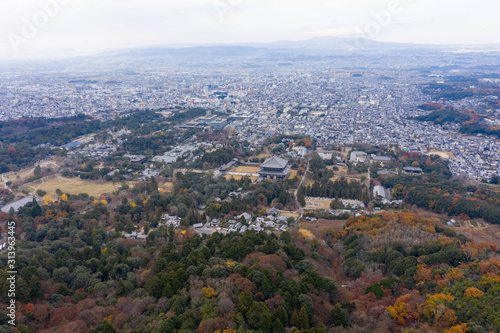 Todaiji and Nara city seen from Mt Wakakusa in Autumn, Japan