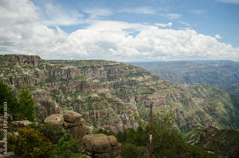  Landscape of cliffs, in Barrancas del Cobre in Mexico, where you can see desert vegetation typical of the place