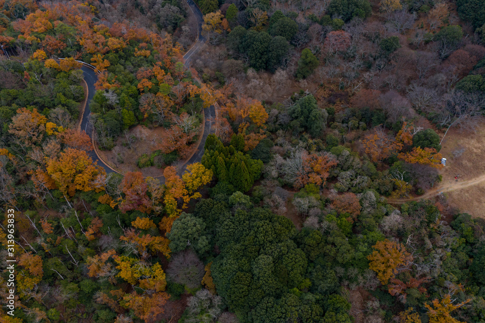 Autumn colors in Mountain Road, Aerial View
